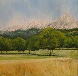 June on the Feneos Plain, 30x30cm