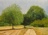 On the Feneos Plain, 40x30cm