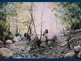 Watercolour.Morning Light In The Irini Gorge. 18.5 x 26.5