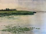 Morning Silence on Lake Kerkini, 39x28cm