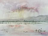 Early Morning on Kerkini, 39x28.5cm