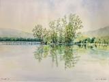 Copse on Lake Kerkini, 40x28cm